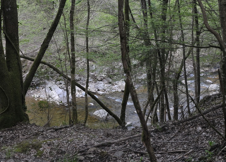 Valle del Farma e Stagno della Troscia: luoghi meravigliosi!